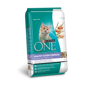 ONE Kitten_15012019_130218.jpg
